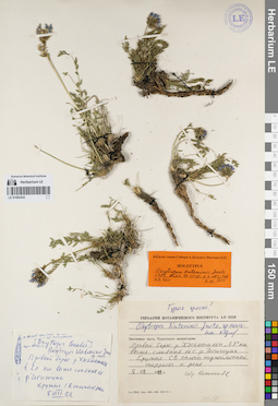 LE 01082434