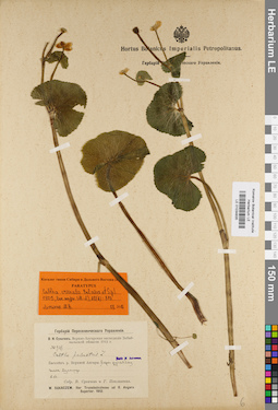 LE 01034835