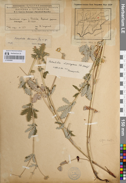 LE 00054560