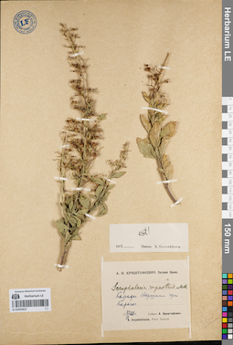 LE 01053627