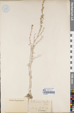 LE 00054605