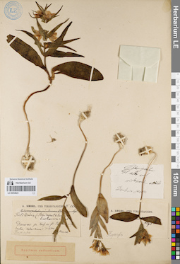 LE 00054623