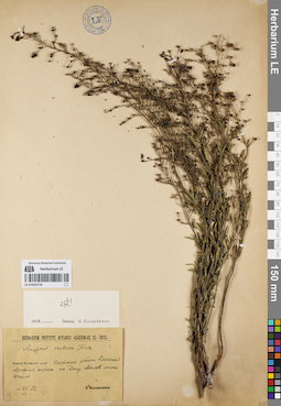 LE 01053718