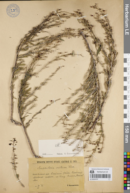 LE 01053727