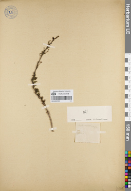LE 01053730