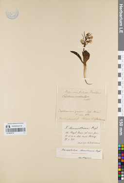 LE 00054718