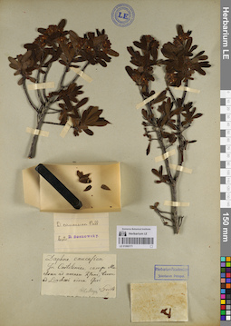 LE 01060171