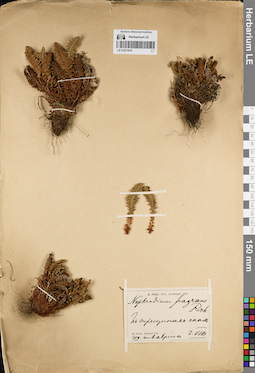 LE 01071910