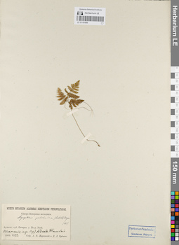 LE 01181686