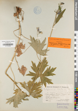 LE 01034989