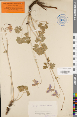LE 01038943