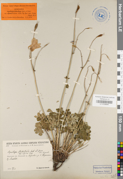 LE 01038946