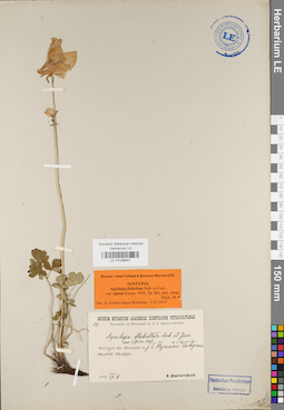 LE 01038947