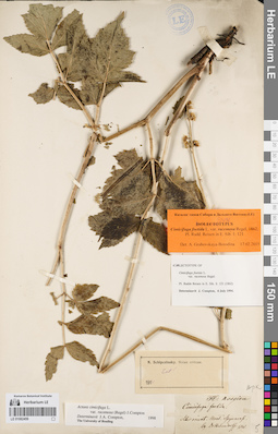LE 01082459