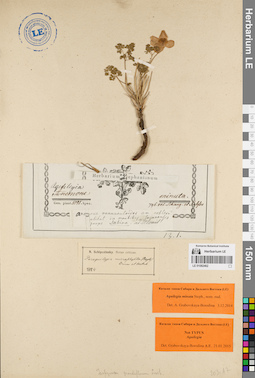 LE 01082462