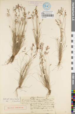 LE 01181897