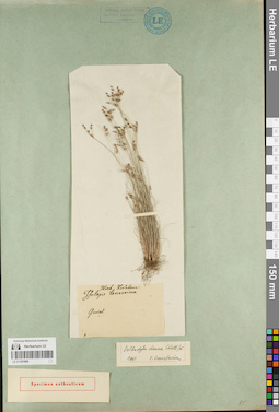 LE 01181900