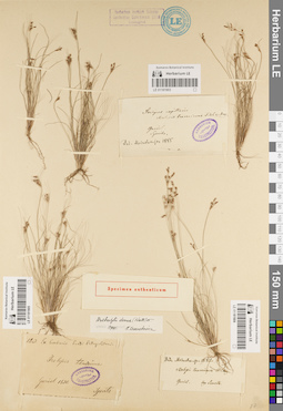 LE 01181905