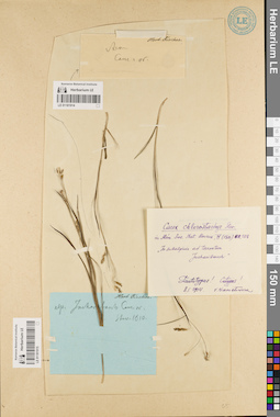 LE 01181915