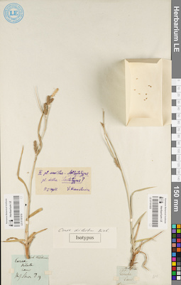 LE 01181919