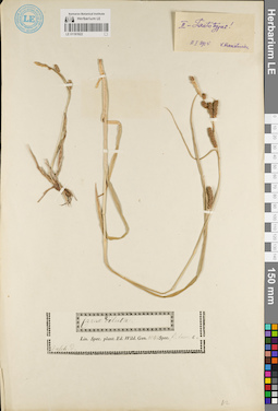 LE 01181922