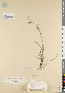 LE 01181923