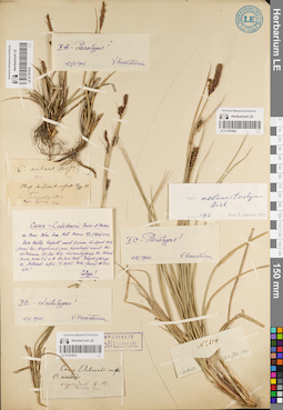 LE 01181931