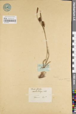 LE 01181934