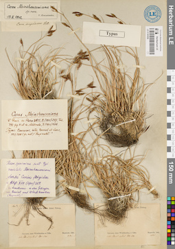 LE 01181936