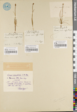LE 01181944