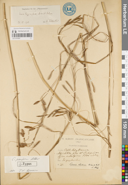 LE 01181947