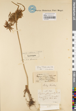 LE 01181957
