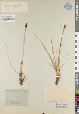 LE 01181959
