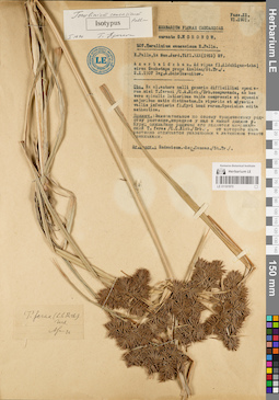 LE 01181970