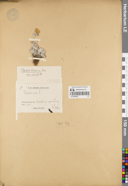 LE 00054582