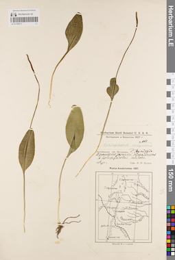 LE 01182011