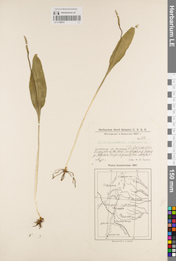 LE 01182012