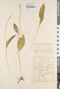 LE 01182013