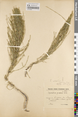 LE 01182025