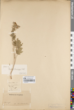 LE 00054742