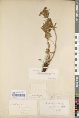 LE 00054743