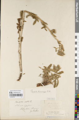 LE 00054744