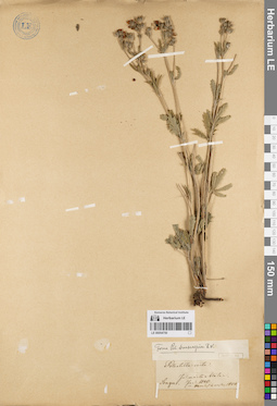 LE 00054750