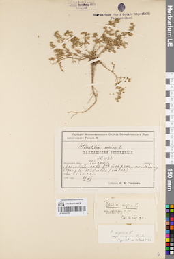 LE 00054755