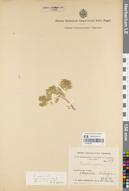 LE 00054760