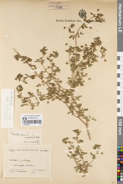 LE 00054761