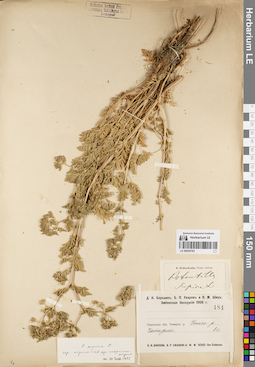 LE 00054763