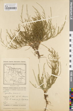 LE 01182067