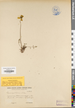 LE 01035071