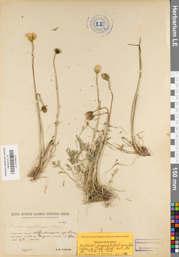 LE 01035072